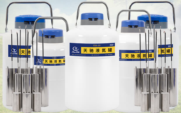 10升液氮罐能裝多少支凍精？