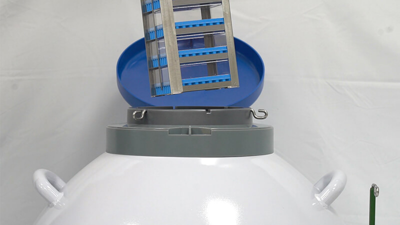 細(xì)菌可以凍在實驗室液氮罐里嗎