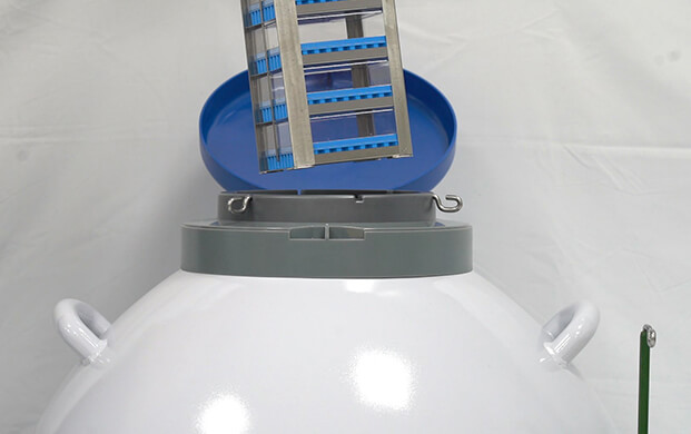 細菌可以凍在實驗室液氮罐里嗎？