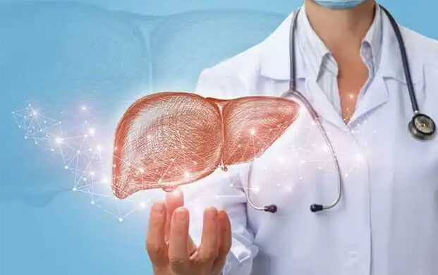 日本培育代謝活性肝細(xì)胞類器官，液氮冷凍技術(shù)突破存儲(chǔ)瓶頸